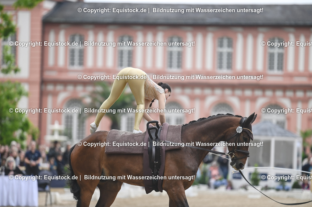 20240519_Voltige_0195 | Foto: Thomas Hartig