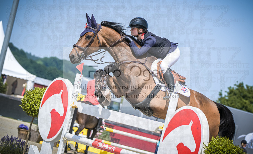 DOS_5667 | Entdecke hochwertige Reitturnierfotos von Foto Oger. Professionell, emotional und authentisch – jetzt Lieblingsmomente im Shop bestellen.Deutschlandweite Turnierfotografie. - Realisiert mit Pictrs.com