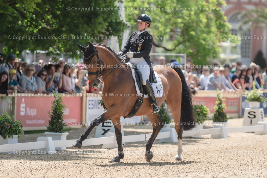 20230527_01_GP-Kür-Tour_0192 | equistock