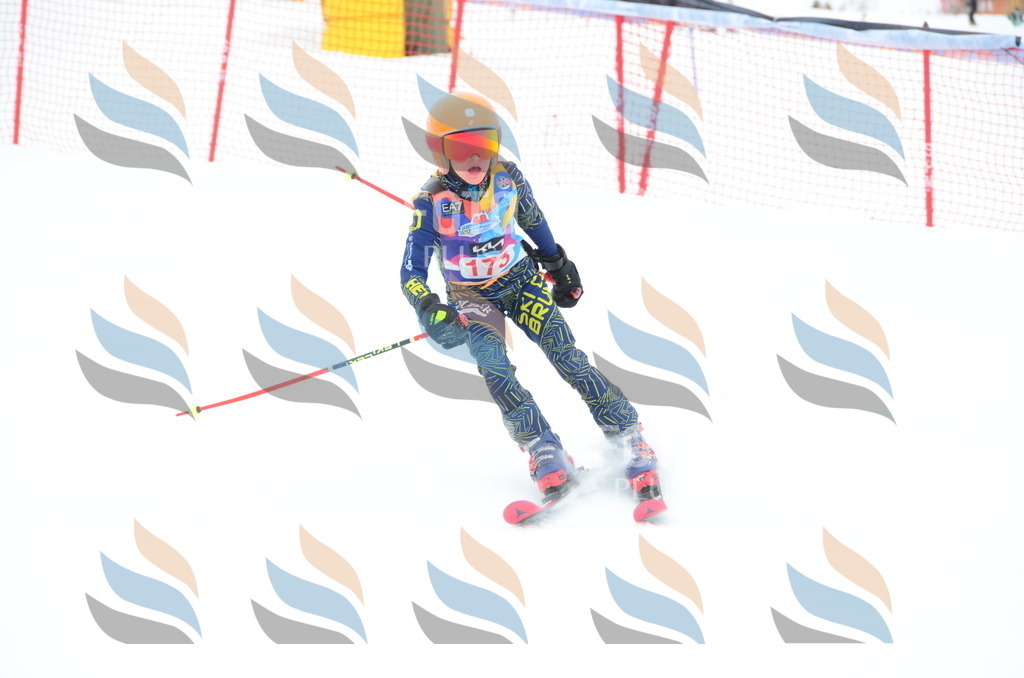 DSC_1625 | holidayphoto