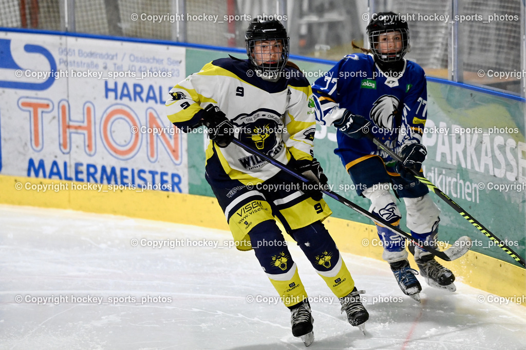 LADY HAWKS vs. WILDCATS PATERNION | #9 Neumann Magdalena WILDCATS PATERNION, #77 Lang Chiara LADY HAWKS, LADY HAWKS vs. WILDCATS PATERNION, LADY HAWKS vs. WILDCATS PATERNION am 12.03.2025 in Steindorf (Ossiachersee Halle), Austria, (Photo by Bernd Stefan)