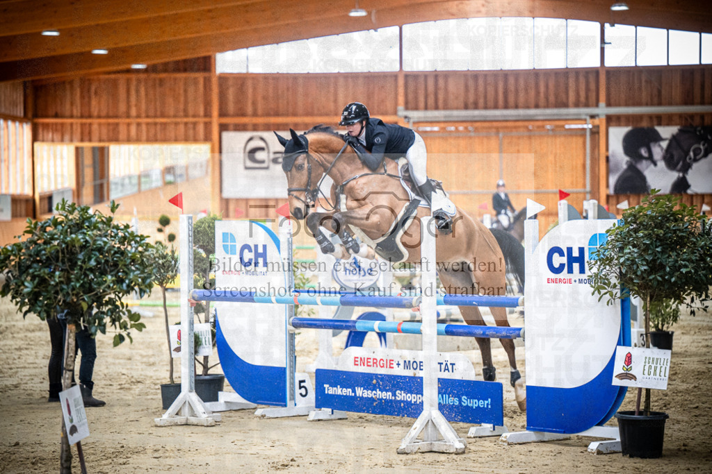 DOS_0822 | Entdecke hochwertige Reitturnierfotos von Foto Oger. Professionell, emotional und authentisch – jetzt Lieblingsmomente im Shop bestellen.Deutschlandweite Turnierfotografie. - Realisiert mit Pictrs.com
