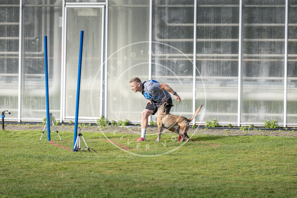 Pfotenfotografie.de_DV3A3429 | Hundefotografie, Tierfotograf, Pfotenfotografie, Fotoshooting Hund, Hunde Portrait, Hundesport, Hundeportraits, Heideshooting, Hunde, Sportfotograf, Hundefotograf, Turnierhundsport, THS, canicross - Realisiert mit Pictrs.com
