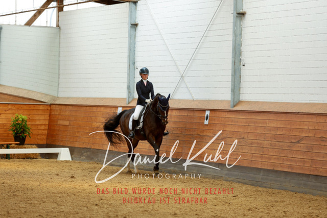 _62_4963 | Turniersportfotografie; Pferdefotografie; Dressurfotografie