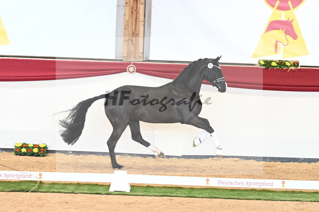 Kat.-Nr. 66 v. Taurus_Beckmann_2240871 | hf-fotografie - Realisiert mit Pictrs.com