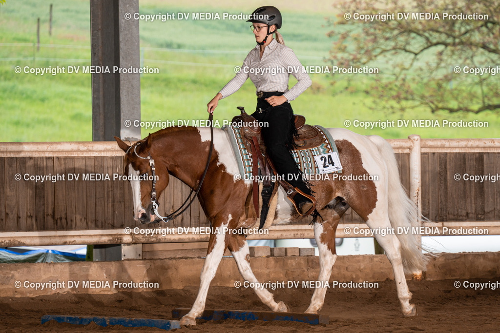 Erbach Tag 3-194 | dv-media-shop - Realisiert mit Pictrs.com