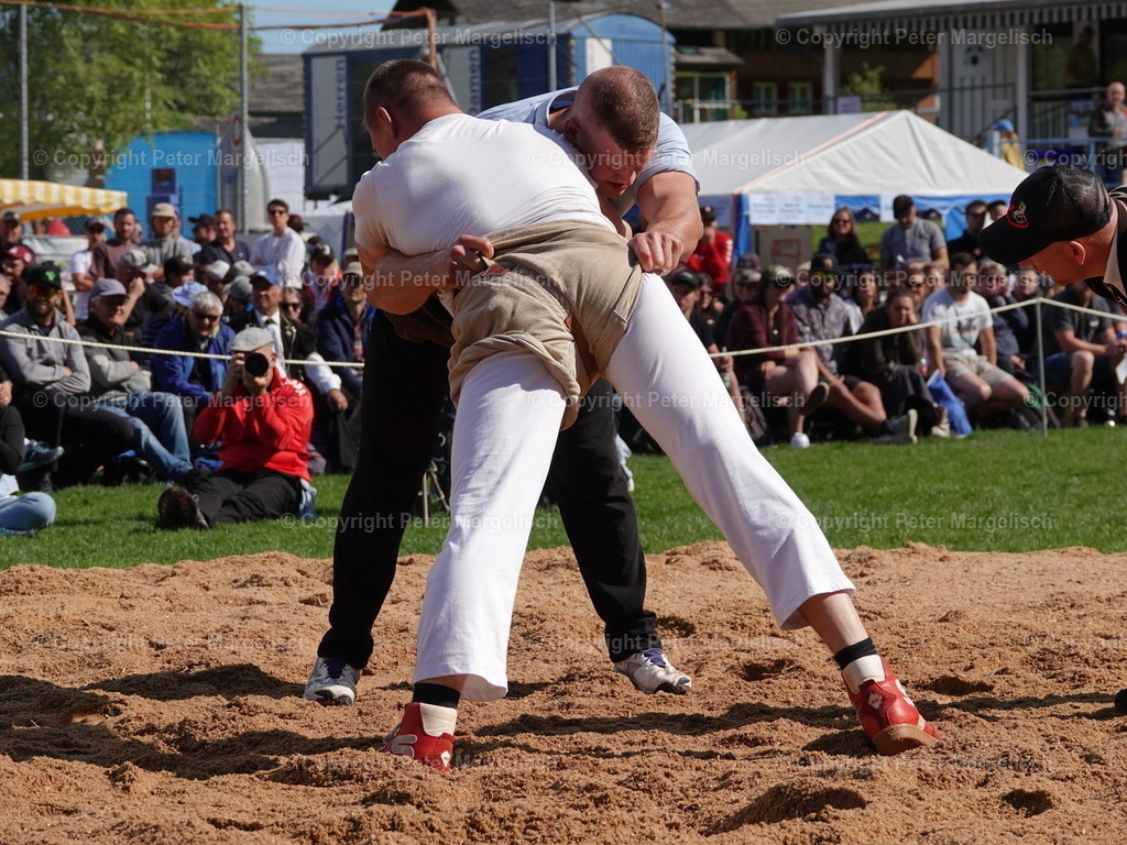 DSC07103 | Schwingen - Realisiert mit Pictrs.com