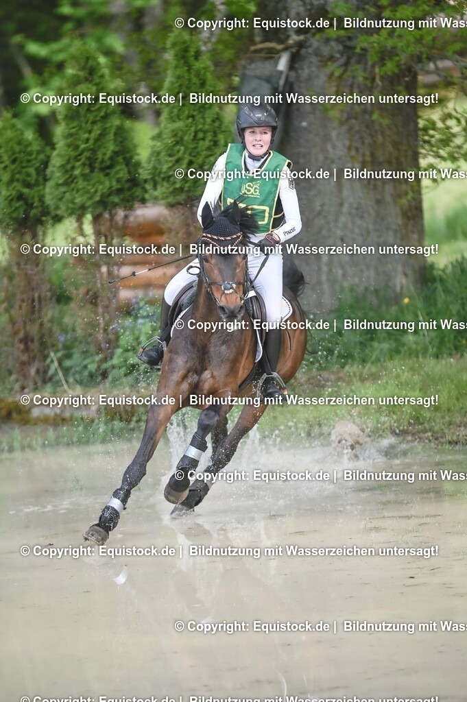 20250517_CCI1_Gelände_1018 | Foto: Thomas Hartig