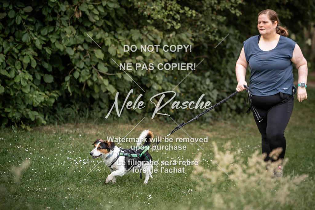 nelerasche_So-funtrail_124 | nelerasche