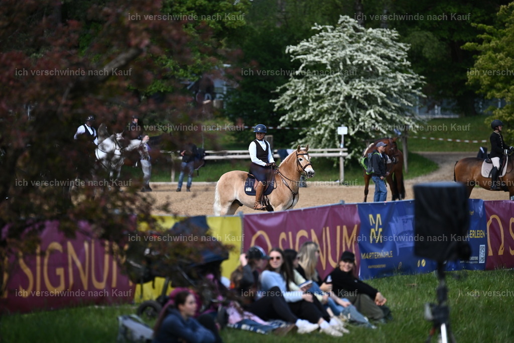 PI26_COW_Sara Landvogt226_7112.JPG | working equitationturnier fotograf videograf stoibphotography marixx film working equitation deutschland reitsport turnierfotografie eventfotografie equestrian events