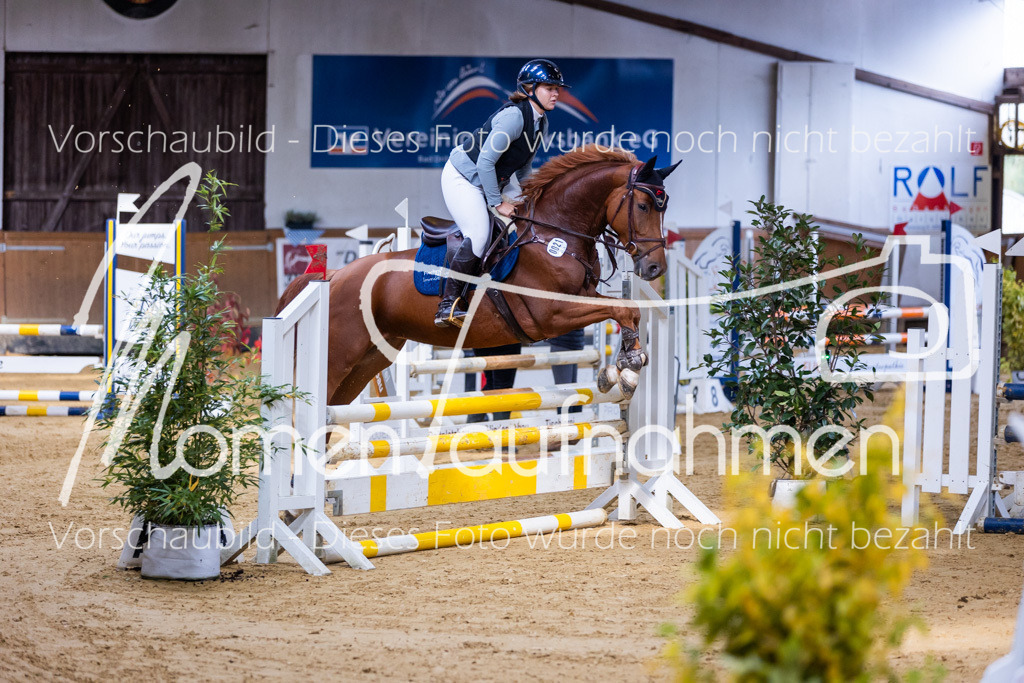 Sth-A-Springen-014 | MomenTaufnahmen Pferdesportfotos