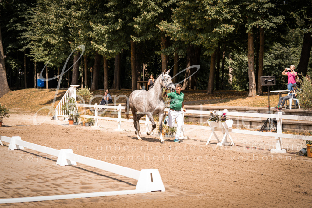 1.Fr00084 | Leoni Ertmer Photography - Realisiert mit Pictrs.com