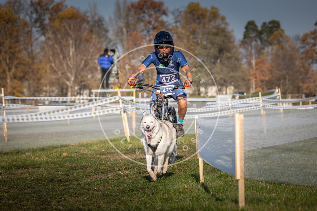 CaniXpix_0L8A4600 | Hundefotografie, Tierfotograf, Pfotenfotografie, Fotoshooting Hund, Hunde Portrait, Hundesport, Hundeportraits, Heideshooting, Hunde, Sportfotograf, Hundefotograf, Turnierhundsport, THS,  - Realisiert mit Pictrs.com