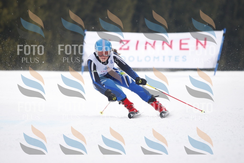 D4941 | holidayphoto