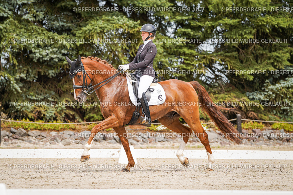 DSC05313 | Pferdegrafie