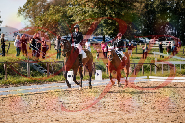 2026_10_03_Siefer-Hof_130344_Z63_66098809 | Professionelle Reitsport-, Turnier- und Eventfotografie von Robert Broda. Galerien mit ausgewählten und bearbeiteten Bildern direkt online ansehen und bestellen.