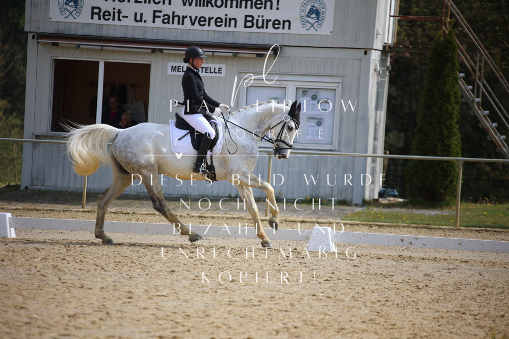 IMGT4823 | pl-fotografie