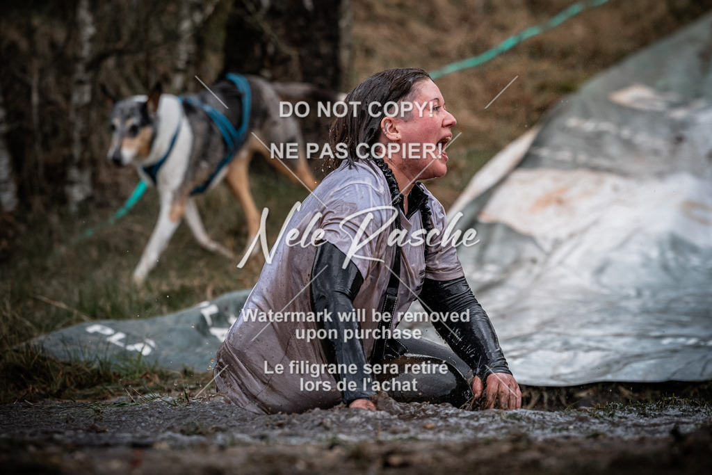 nelerasche_1130-1230_132 | nelerasche