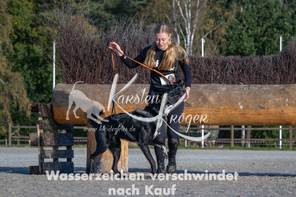 1009-_ZZ90385 | kk-dogfotos