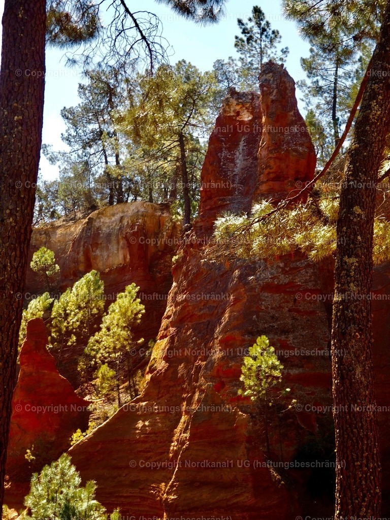 IMG_2926 | OLYMPUS DIGITAL CAMERA          - Realisiert mit Pictrs.com