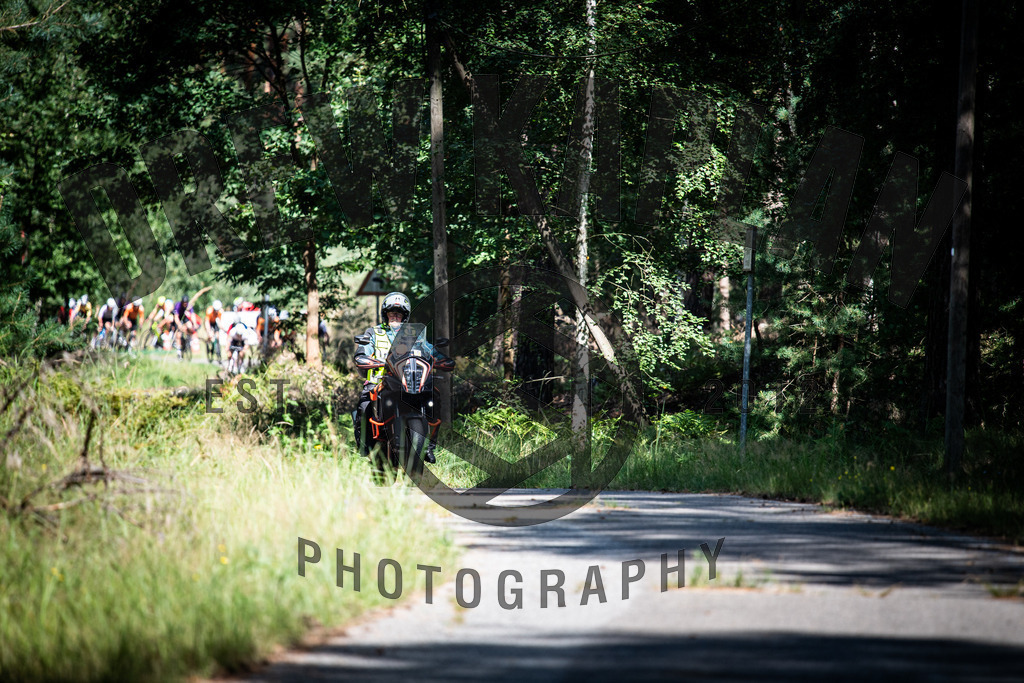 DKP-4571 | Drew Kaplan Photography