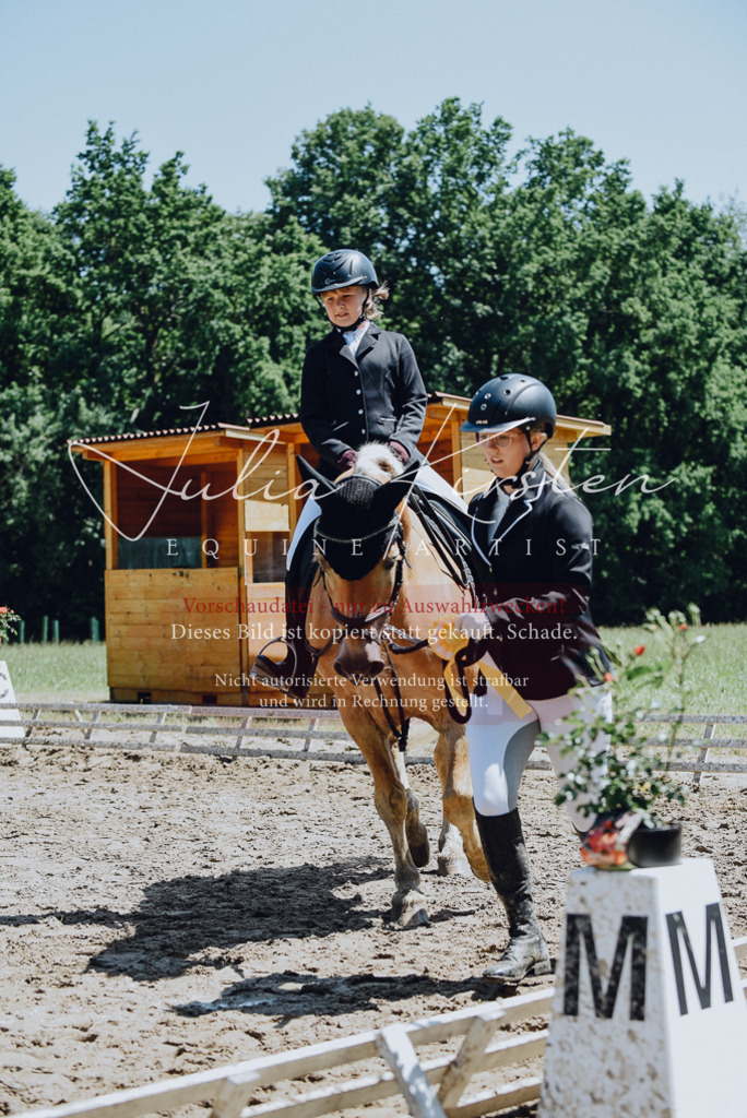 DSC_2354 | Pferde- und Turnierfotografie in Westsachsen. Pferdeportraits, Auftragszeichnungen und intuitive Kunst.