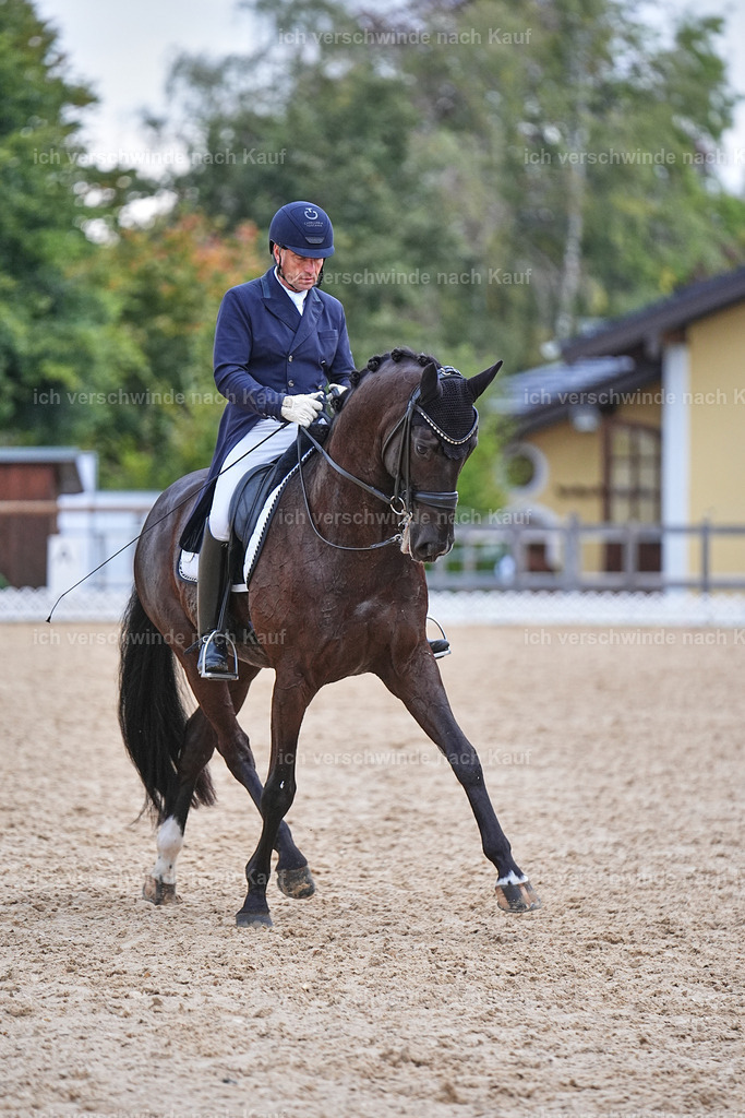 12-085-DRESSUR  S___  -Marixx-5249 | working equitationturnier fotograf videograf stoibphotography marixx film working equitation deutschland reitsport turnierfotografie eventfotografie equestrian events