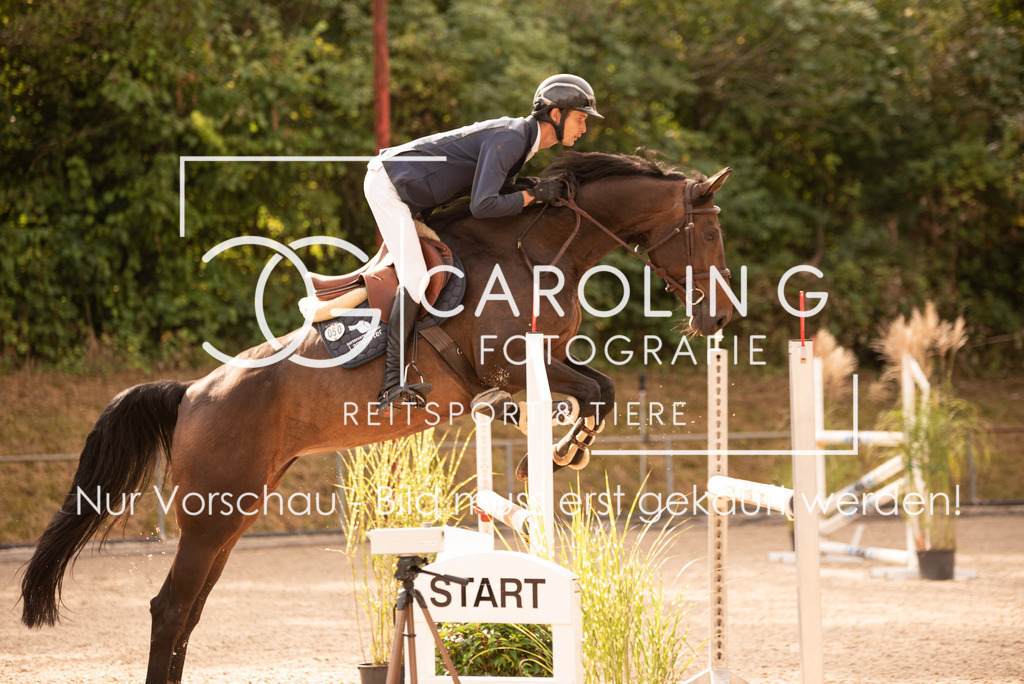 DSC_8503 | Turnierfotografin Carolin Gieschke, Turnierfotografie Carolin G Fotografie, Turnierfotos Kirchheim/Teck, Esslingen, Stuttgart, Bodenseekreis