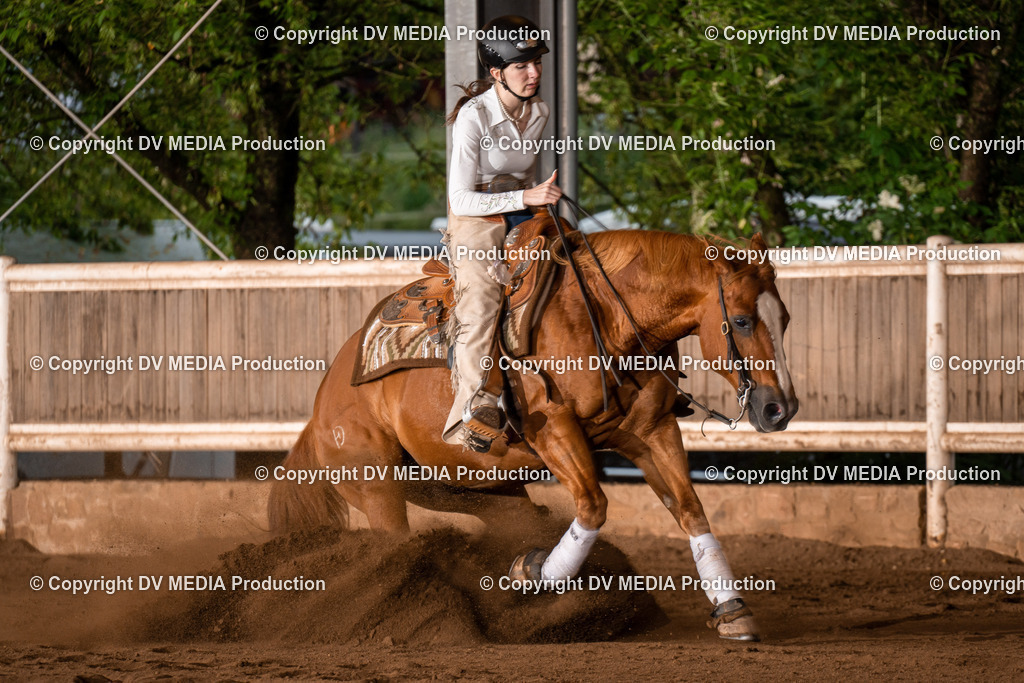 Erbach Tag 3-838 | dv-media-shop - Realisiert mit Pictrs.com