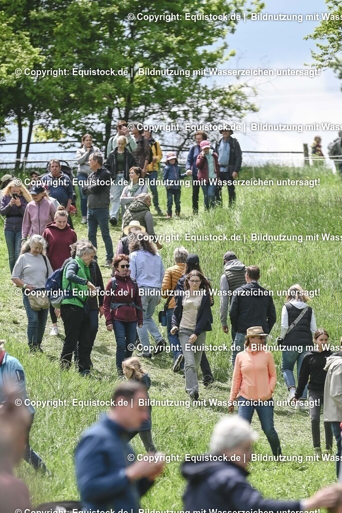 20250517_Impressionen_0062 | Foto: Thomas Hartig