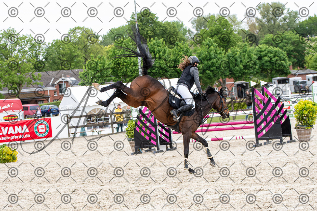 KPT_8686 | andre_photographic