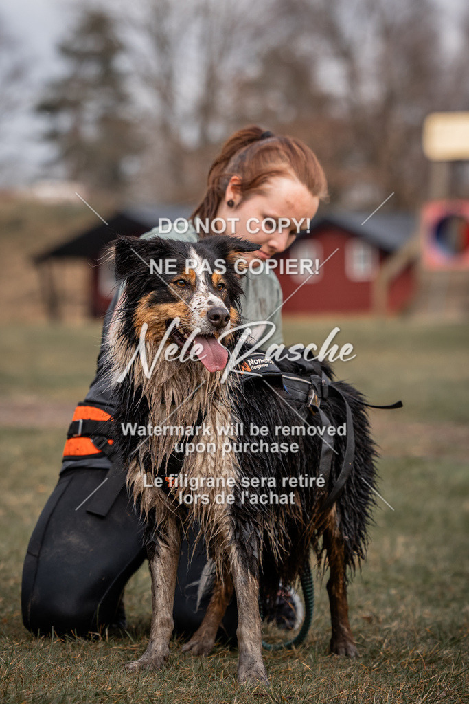nelerasche_1330-1400_275 | nelerasche