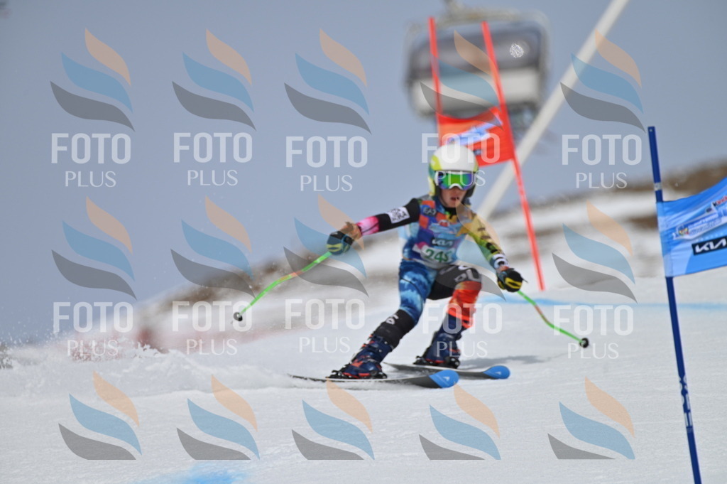 BGV_4931 | holidayphoto