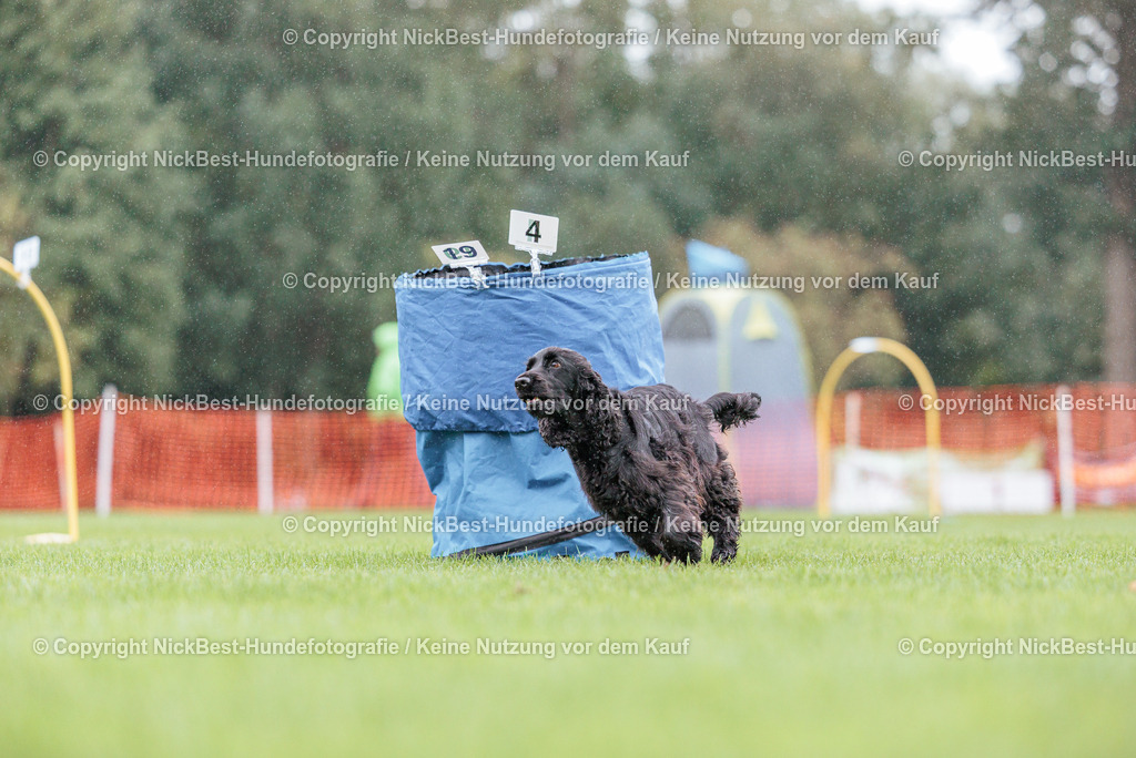 BSP Hoopers-H2 Tag2-2026-Nickbest-Hundefotografie-TuS Komet Arsten e.V.-5844 | Dein Hund! Dein Moment! Deine Erinnerungen! Hundefotografie in Bremen Blumenthal. Ich fange die besonderen Momente deines Vierbeiners ein – ob Indoor mit Blitzanlage oder in der freien Natur. Sicher dir dein Moment und dein Termin für eure Erinnerungen.