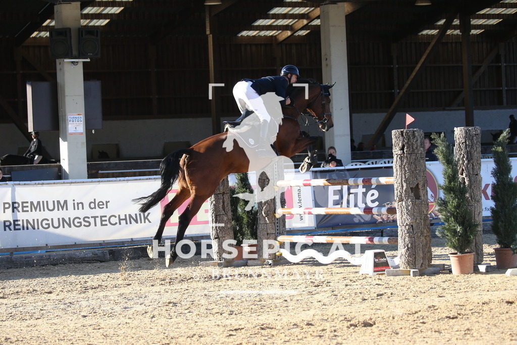 DL2Q4320 | Willkommen bei Brunnmayr - Design & Fotografie – Ihrem Spezialisten für Reitturniere und Pferdeveranstaltungen in Oberösterreich, Salzburg und Bayern! Seit über 17 Jahren sind wir leidenschaftlich dabei.