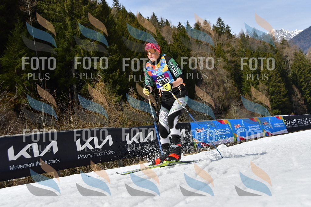 _DSC0396 | holidayphoto