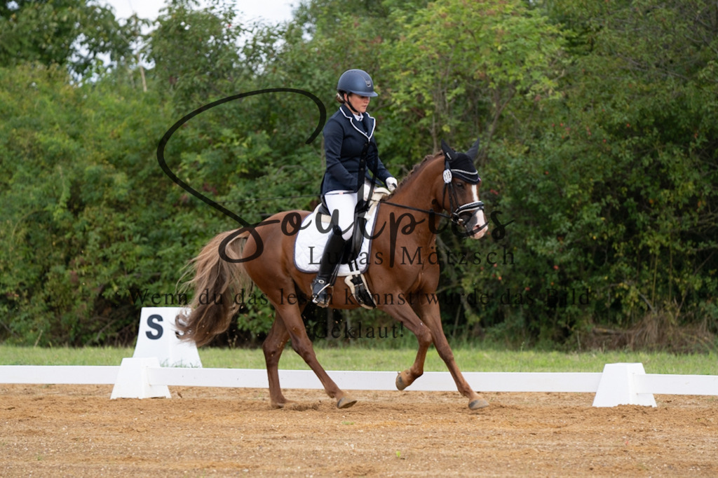 A7V03792 | Pferdefotograf