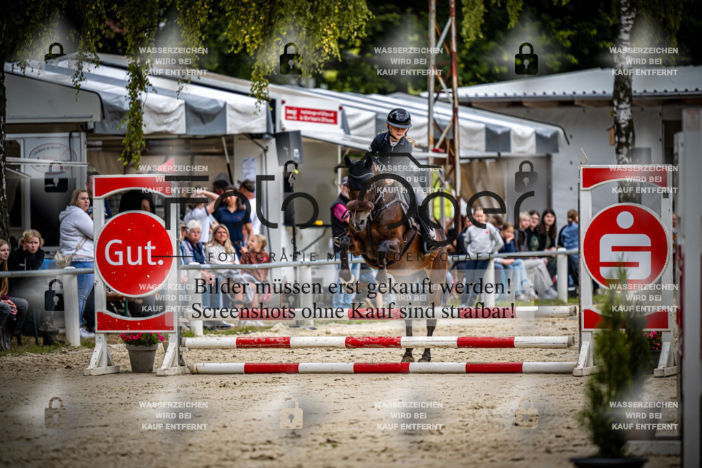 Turnier Laggenbeck 2026-15-0147 | Entdecke hochwertige Reitturnierfotos von Foto Oger. Professionell, emotional und authentisch – jetzt Lieblingsmomente im Shop bestellen.Deutschlandweite Turnierfotografie. - Realisiert mit Pictrs.com