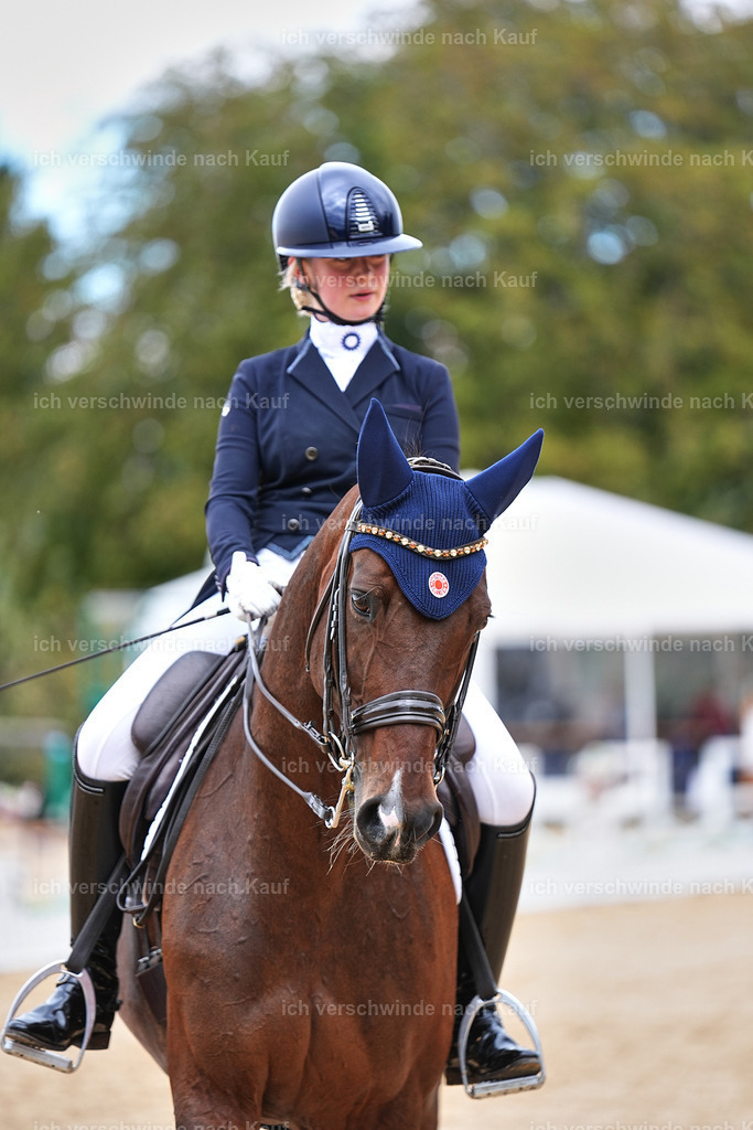 6-196-AMATUER-DRESSUR S_  -Marixx-3723 | working equitationturnier fotograf videograf stoibphotography marixx film working equitation deutschland reitsport turnierfotografie eventfotografie equestrian events