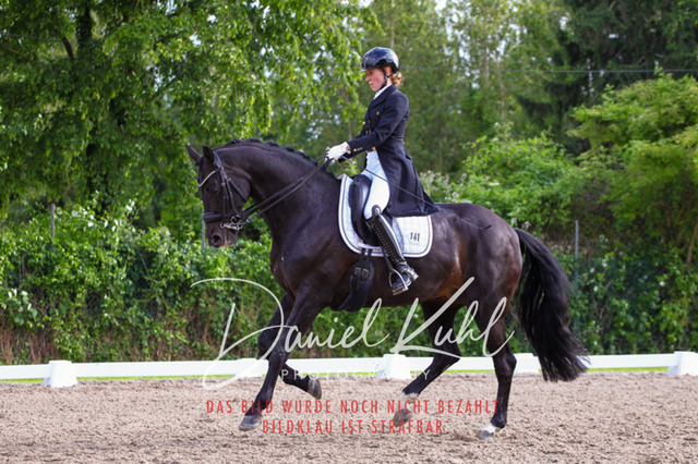 DKP41744 | Deine Turnierfotos vom Reitturnier online kaufen: Dressur, Springen & Siegerehrung. Professionelle Pferdefotografie aus dem Rheinland – als Download & Print.Alternative: Turnierfotograf für den Pferdesport: Finde deine Fotos von Dressur- und Springturnier