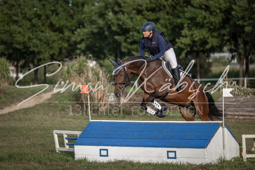 20250907-_3LI8250 | Tierfotografie Pferde, Hunde, Katzen, Haustiere.
Turnierfotografie Reitturniere, Reiten, Springreiten, Dressur in Hanau, dem Main-Kinzig-Kreis und dem Rhein-Main- Gebiet um Frankfurt