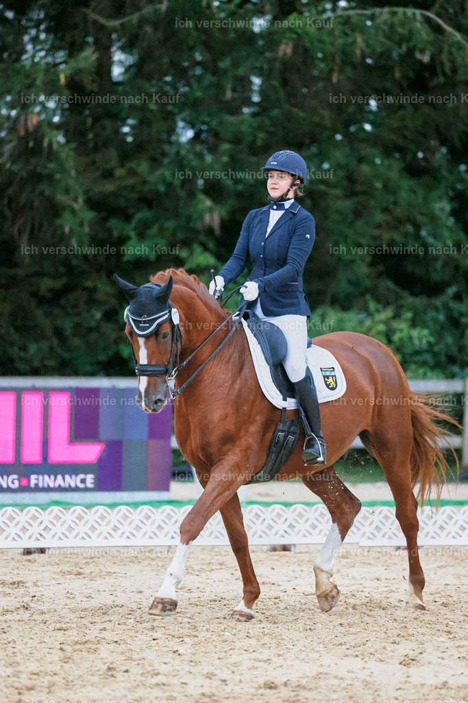 04_2-177-Dressur M__ -StoibPH-3018 | working equitationturnier fotograf videograf stoibphotography marixx film working equitation deutschland reitsport turnierfotografie eventfotografie equestrian events