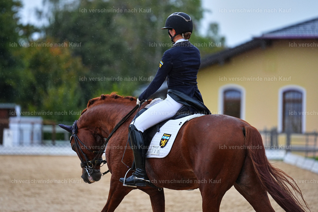 8_1-223-Klasse S_  -Marixx-4297 | working equitationturnier fotograf videograf stoibphotography marixx film working equitation deutschland reitsport turnierfotografie eventfotografie equestrian events