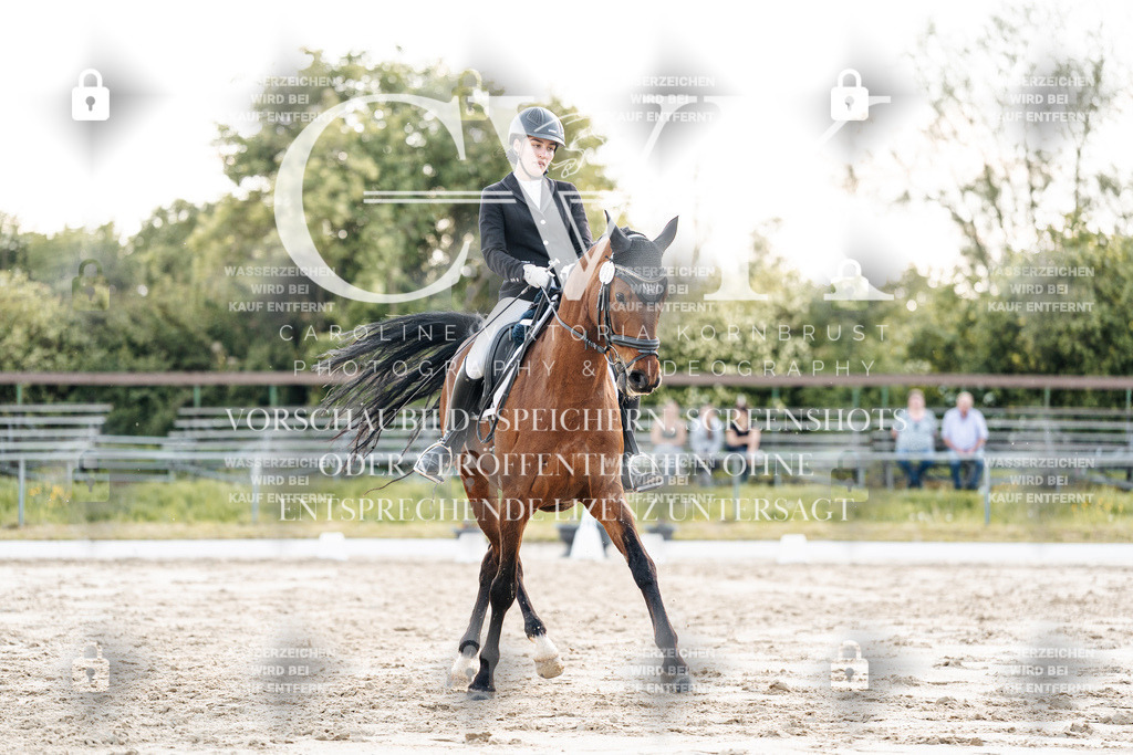 CK909825 | Turnierfotografie Pferdefotografie Trier Rheinland-Pfalz Pferdesport Reitsport Tierfotografie Sportfotografie Pferdevideo Pferdevideografie Equestrianvideography equestrianphotography  - Realisiert mit Pictrs.com