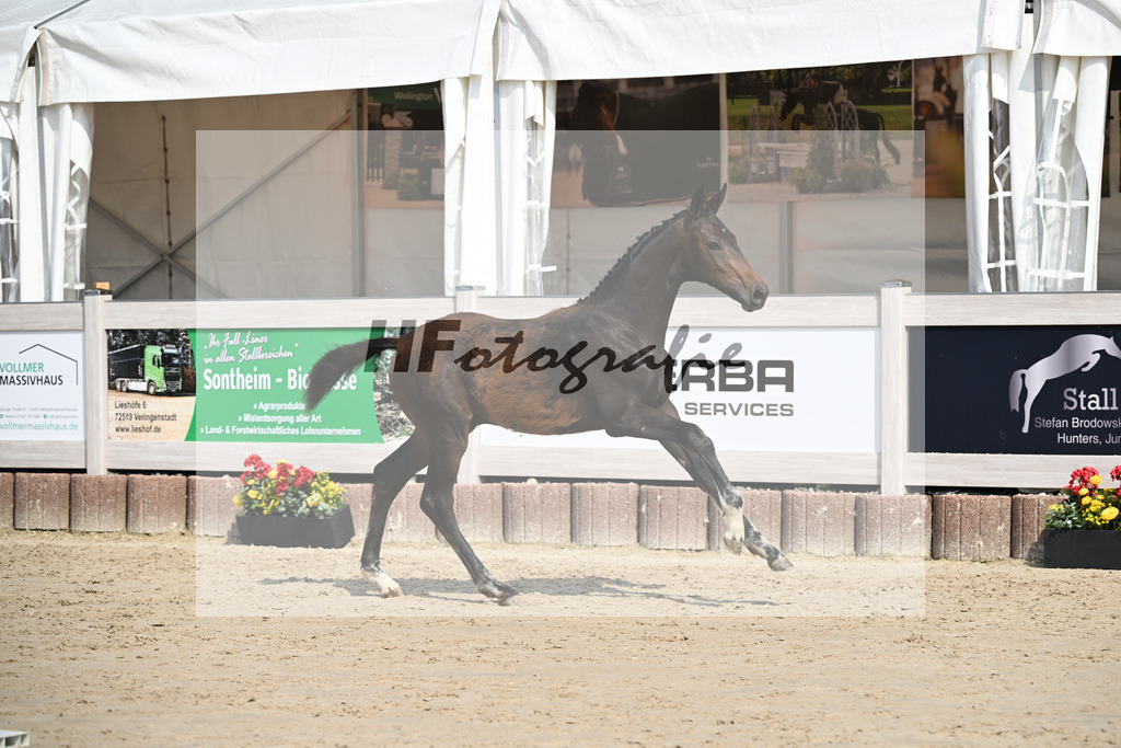 Escaneno x Ganymedes_HF_Amann_12250204 | hf-fotografie - Realisiert mit Pictrs.com