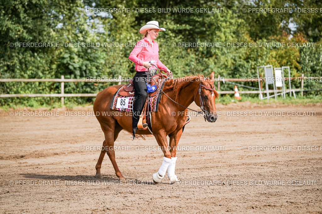 DSC09515 | Pferdegrafie