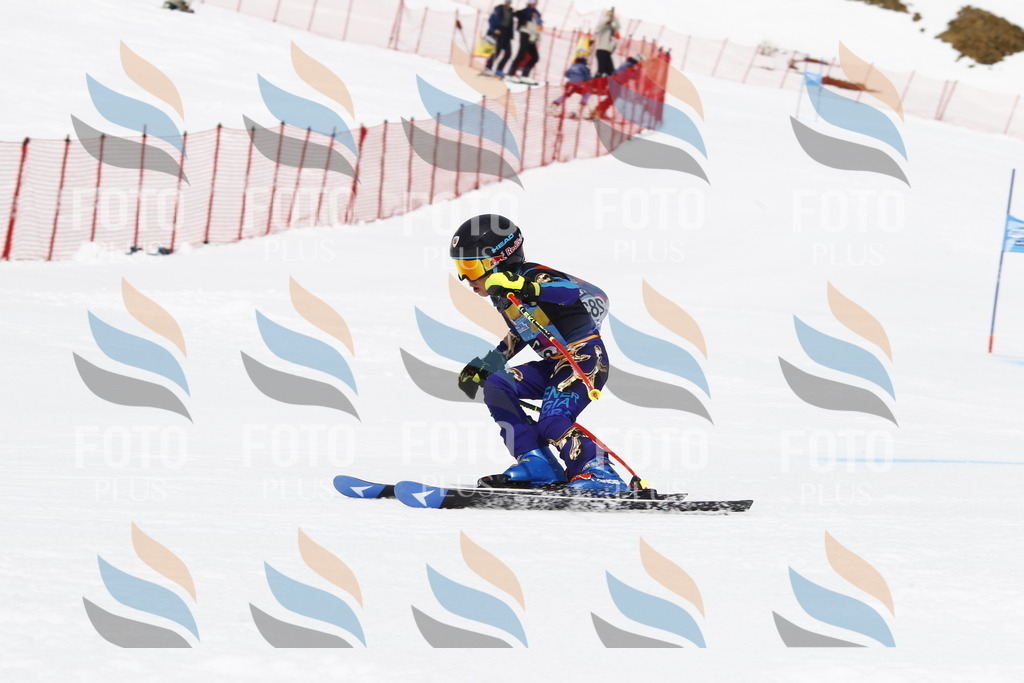 _U3G7102 | holidayphoto