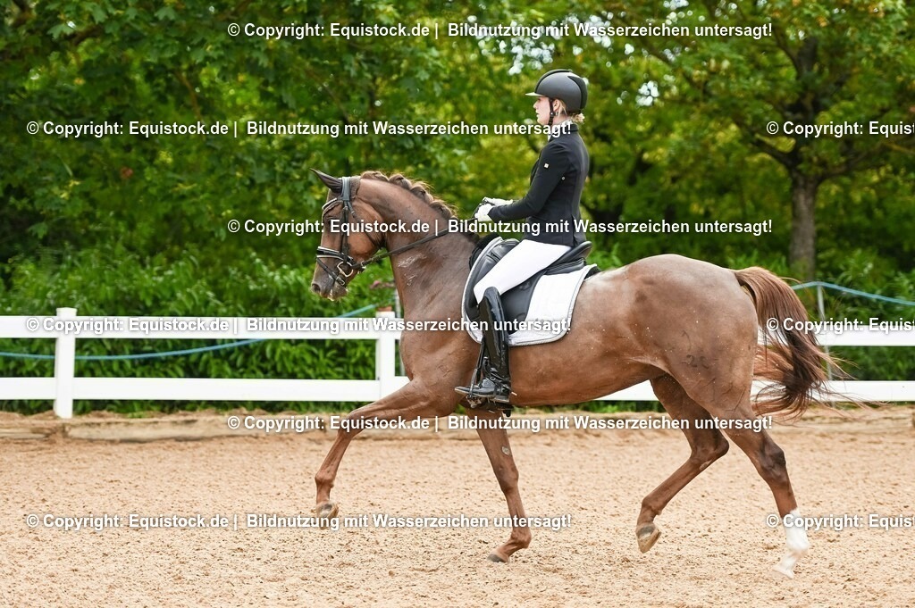 20230715_07_Dressurpferdeprfg. Kl.L_0063 | equistock