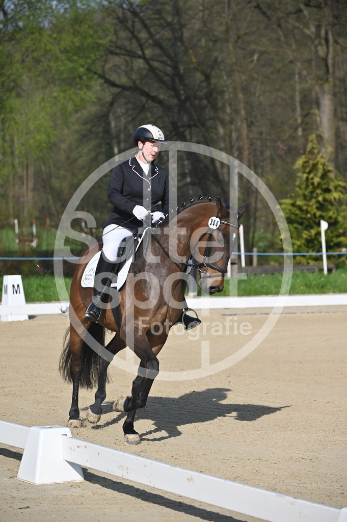 DSC_9979 | sattelsport - Realisiert mit Pictrs.com