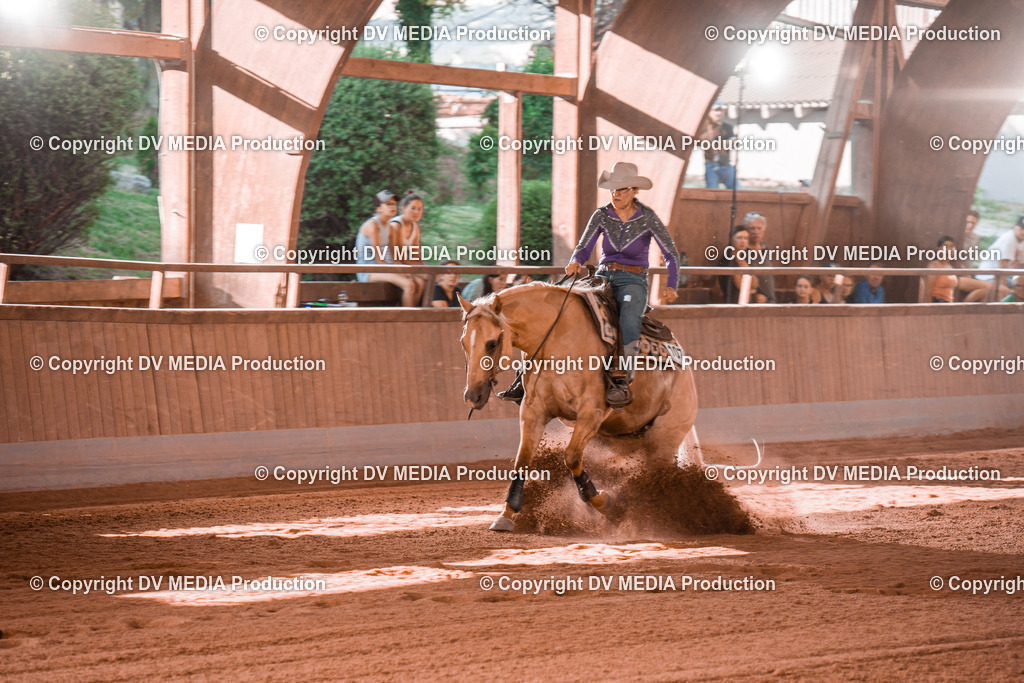 NE201278 | dv-media-shop - Realisiert mit Pictrs.com